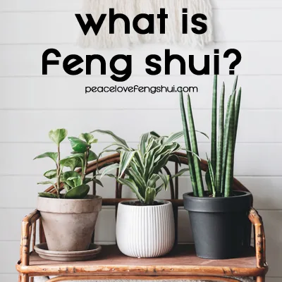 plants on stand - what is feng shui