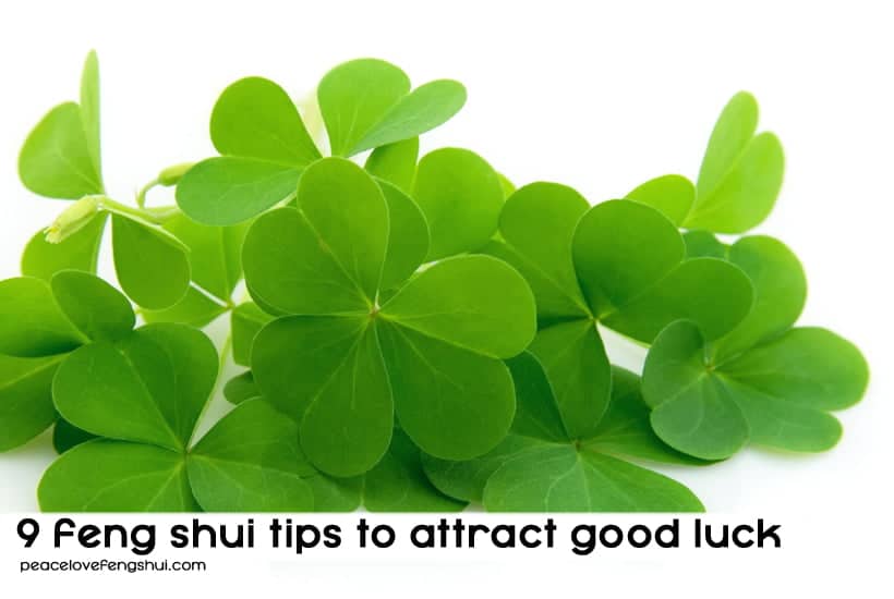9 feng shui tips for good luck