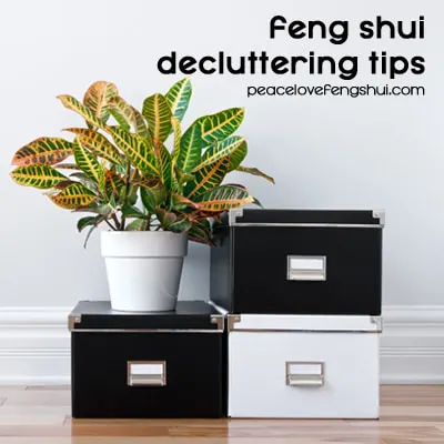plant and boxes - feng shui decluttering tips