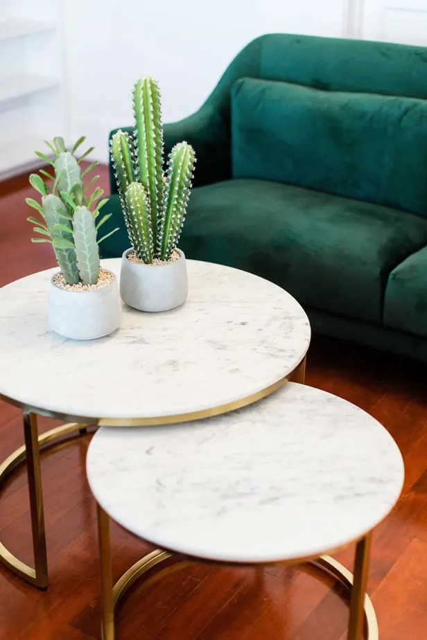 green couch with coffee table and plants