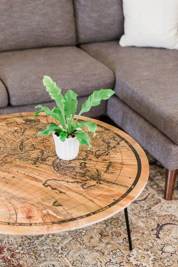 plant on coffee table by couch