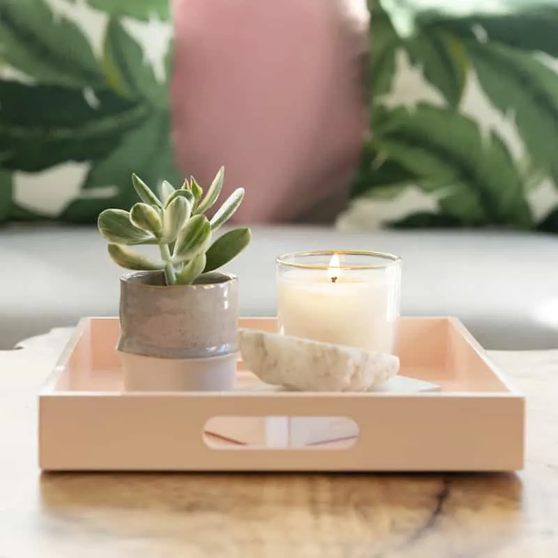 coffee table with tray, plant, and candle