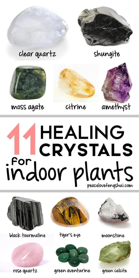 11 healing crystals for indoor plants