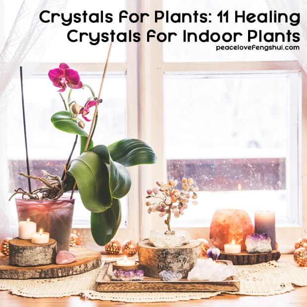 crystals for plants: 11 healing crystals for indoor plants