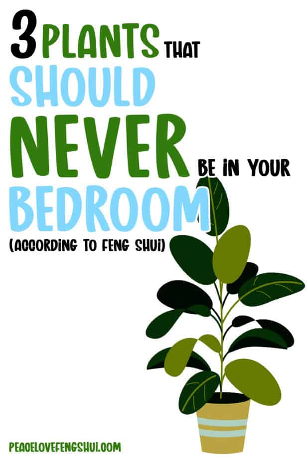 3 plants that should never be in your bedroom (according to feng shui!)