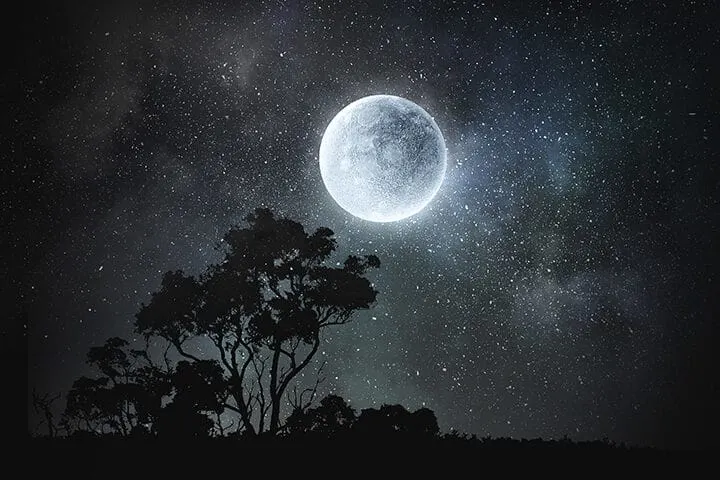 full moon over a tree