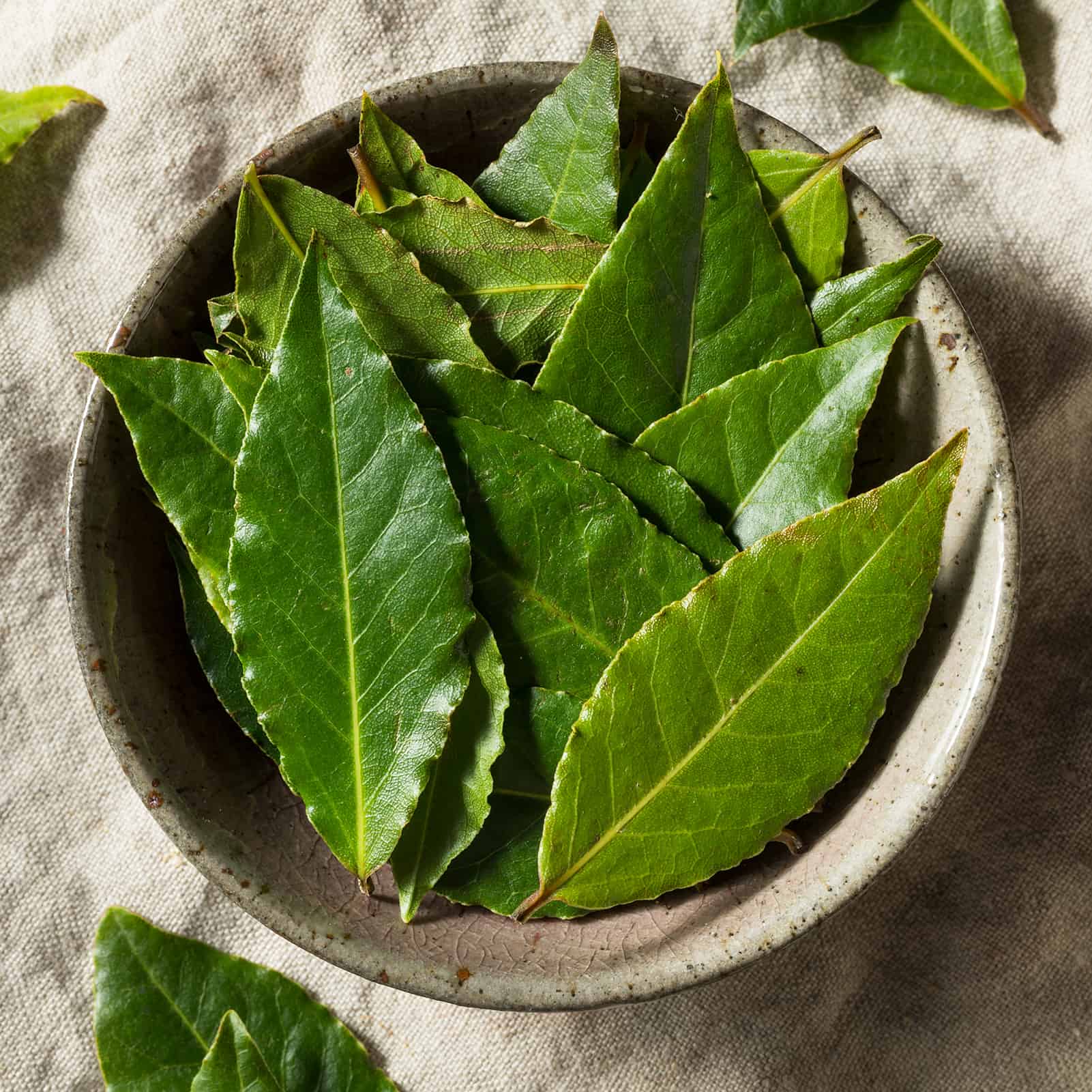manifesting with bay leaves - bowl of bay leaves