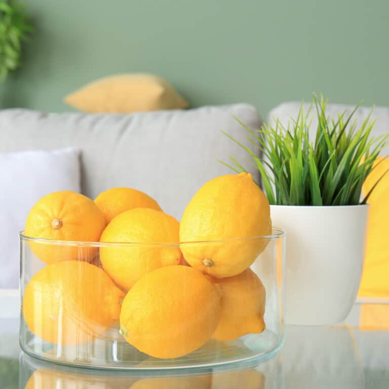 9 lemons feng shui meaning