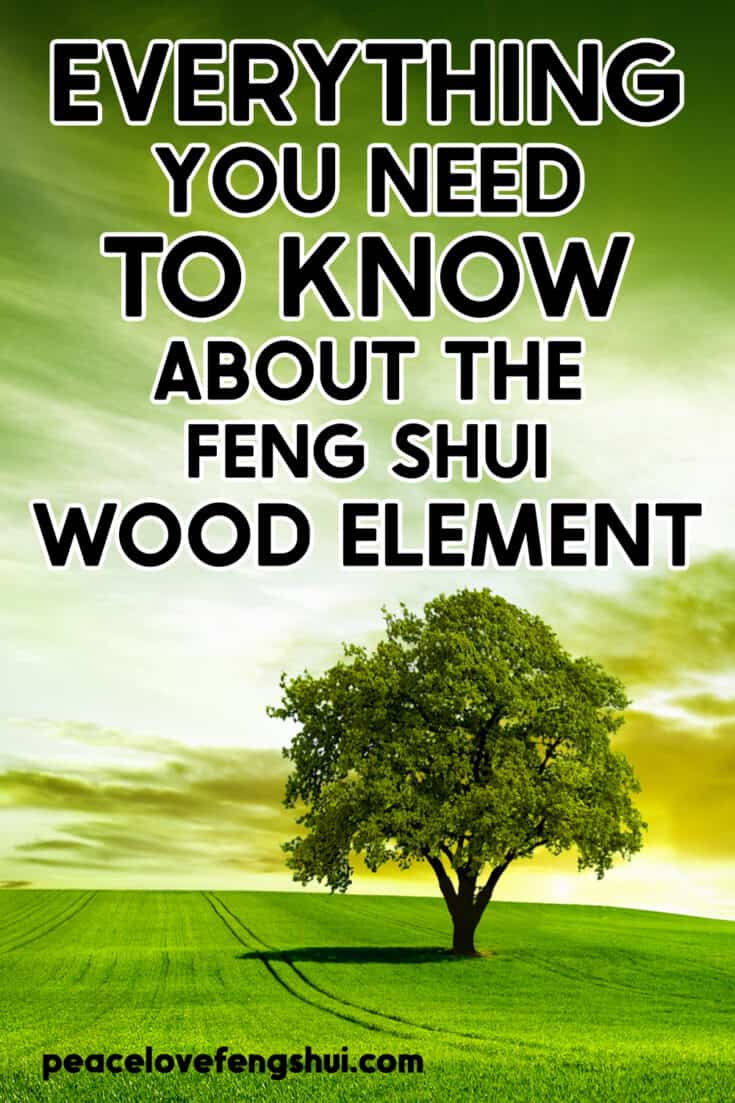 everything you need to know about the feng shui wood element!