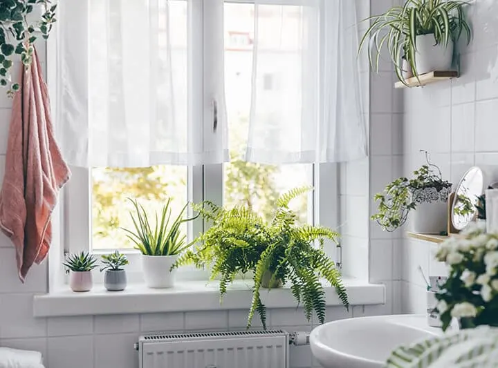 bathroom with lots of plants