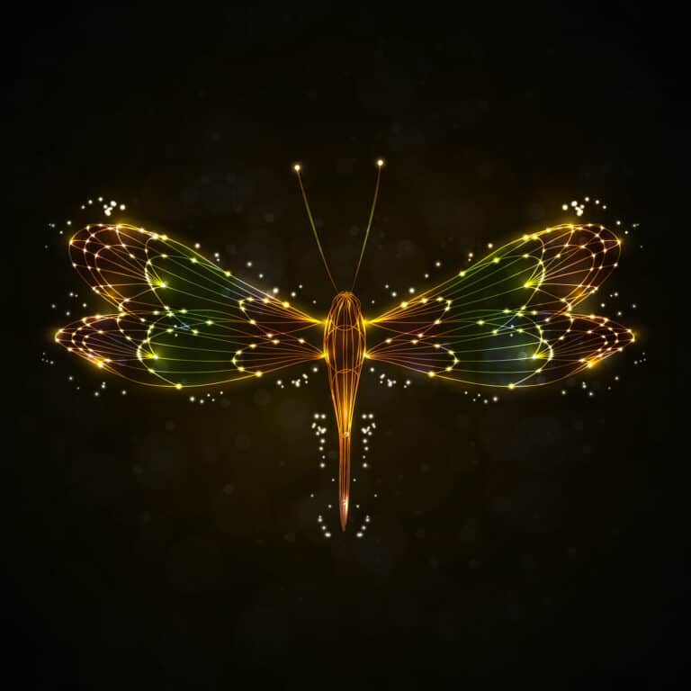 dragonfly meaning in feng shui
