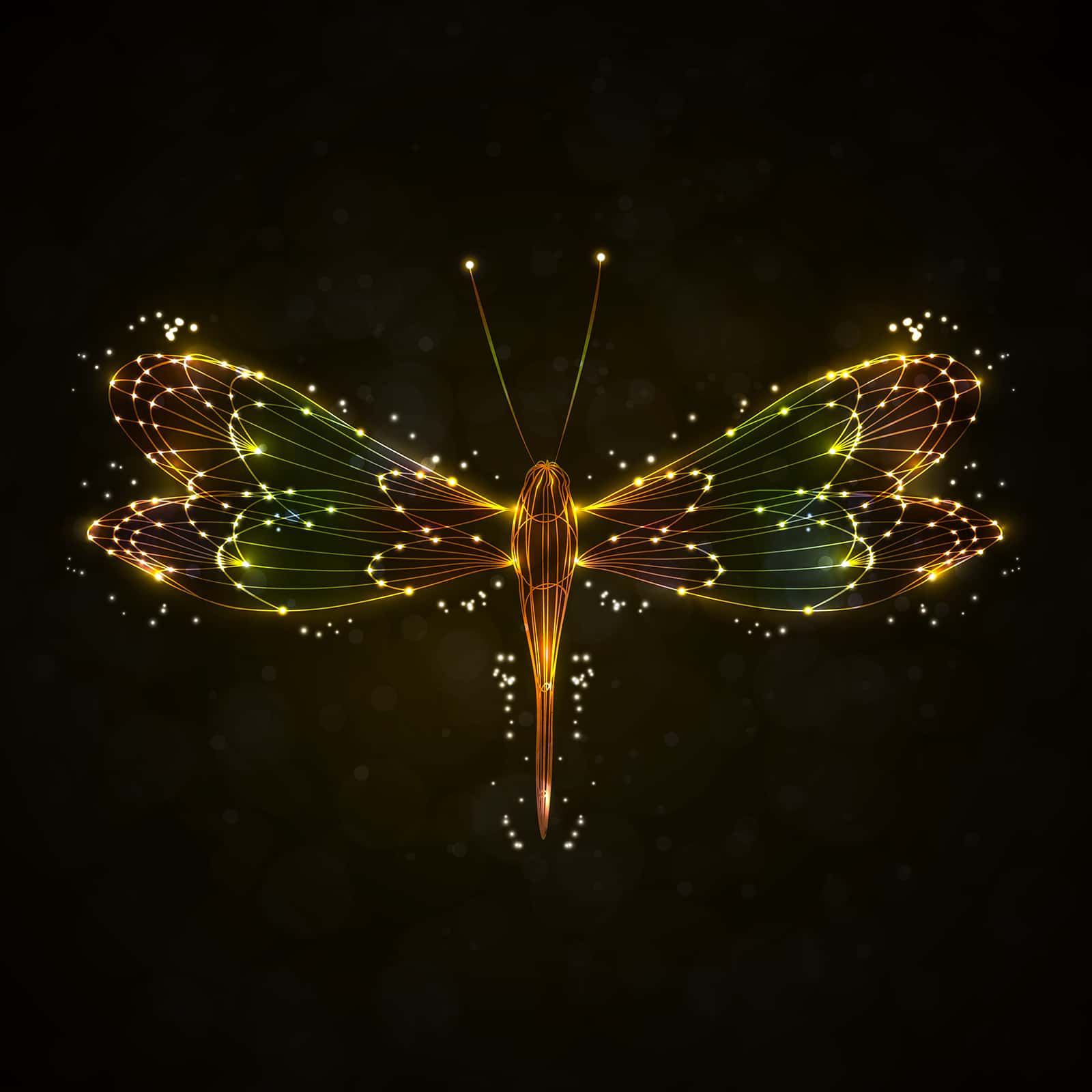 dragonfly meaning in feng shui