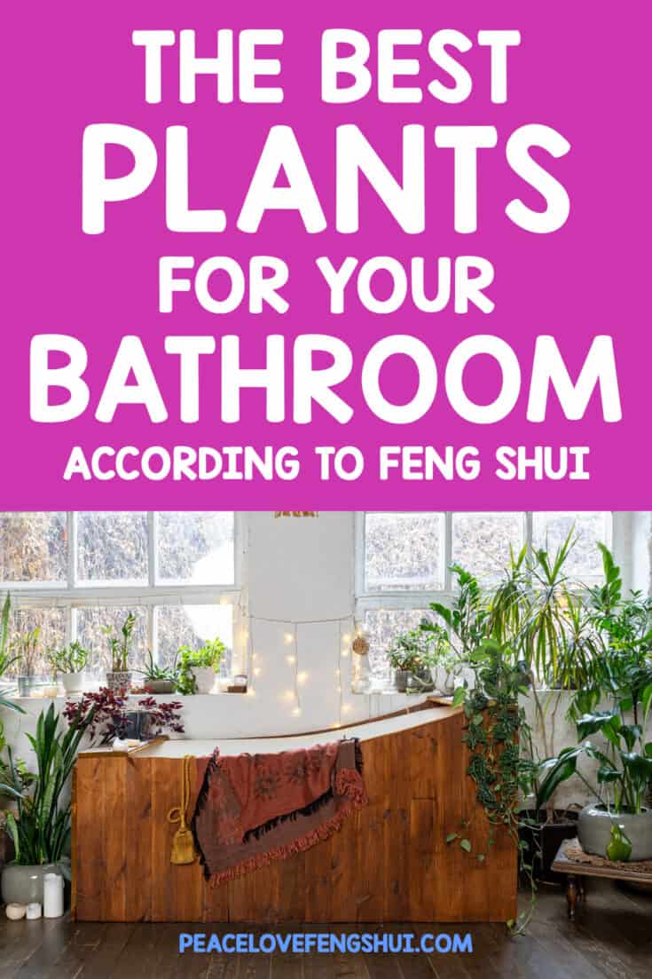 the best plants for your bathroom according to feng shui