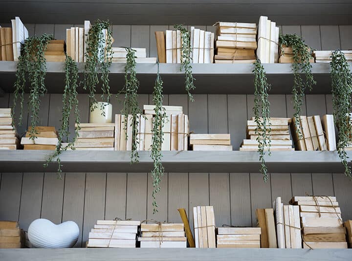 books and plants on a bookshelf