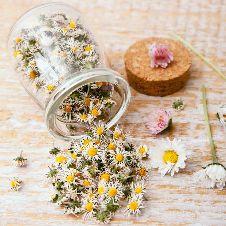 how to make a money jar for manifestation