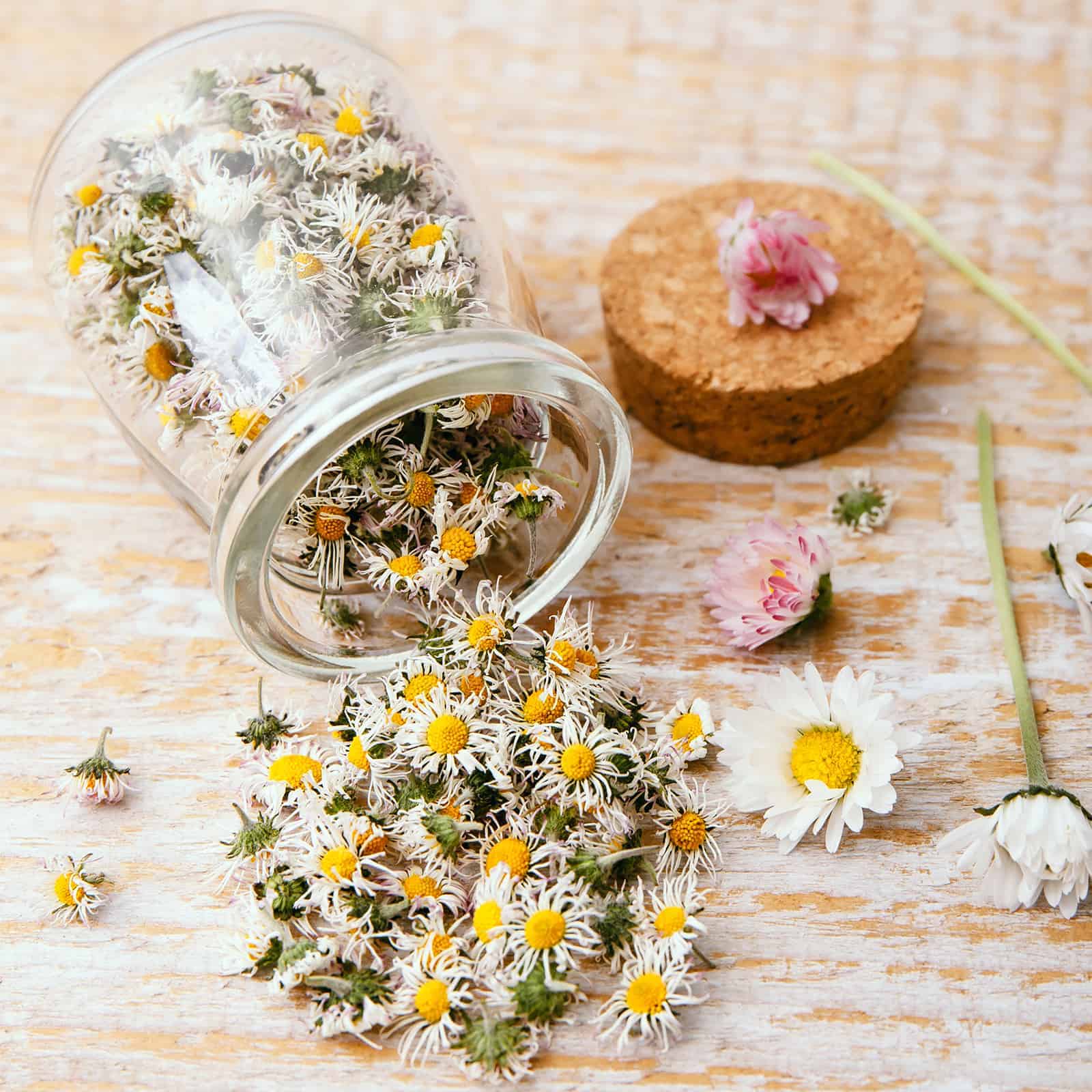 how to make a money jar for manifestation