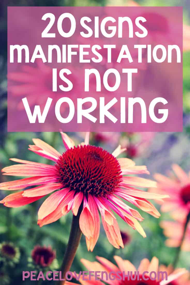 20 signs manifestation is not working