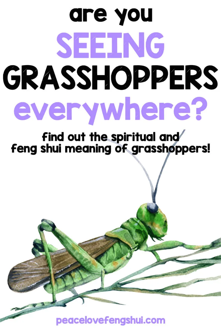 are you seeing grasshoppers everywhere? find out the spiritual and feng shui meaning of grasshoppers