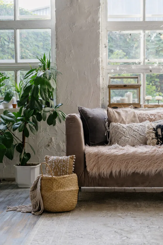 couch with pillows and house plant next to it