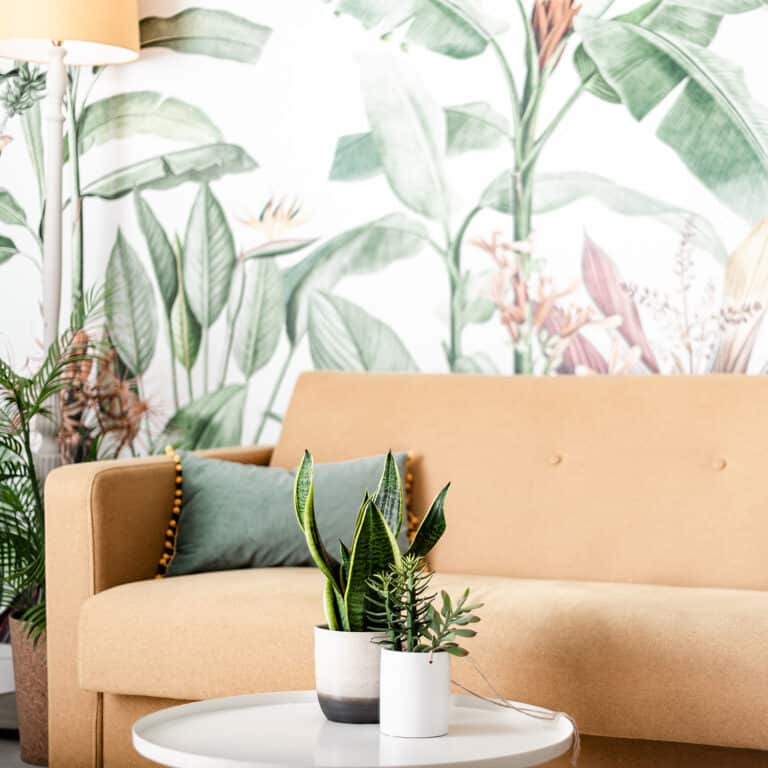 signs of positive energy in your home