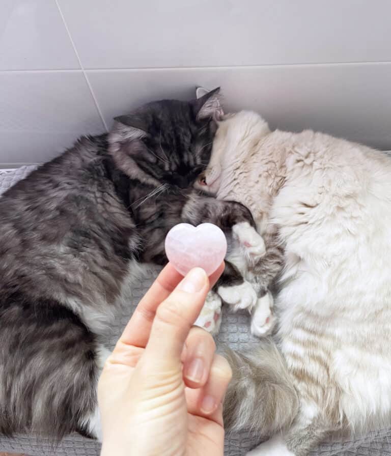crystals for healing a broken heart