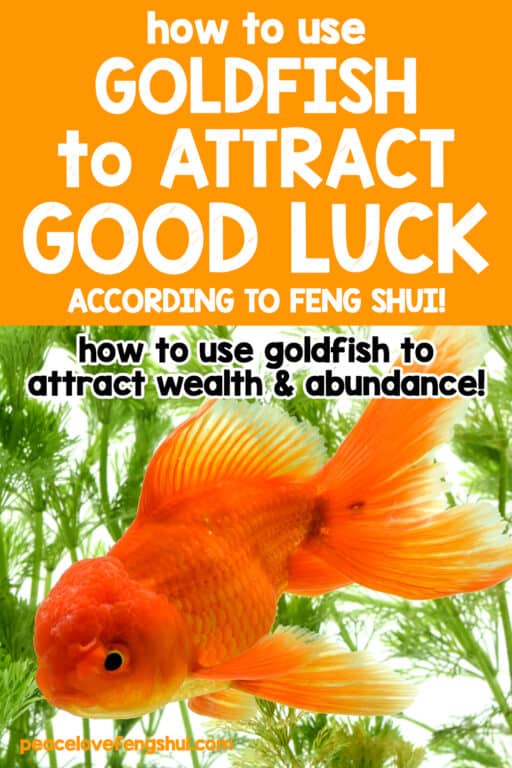 How to Use Goldfish in Feng Shui to Attract Good Fortune! - Goldfish Tank Rock Placement Guide