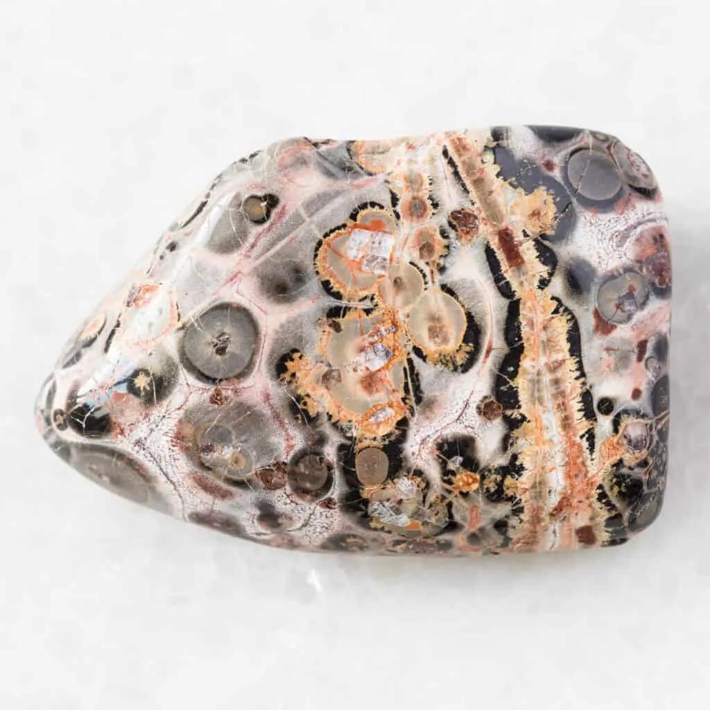leopard skin jasper crystal