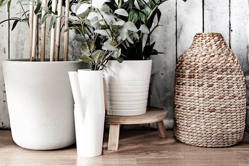houseplants and a basket on the floor