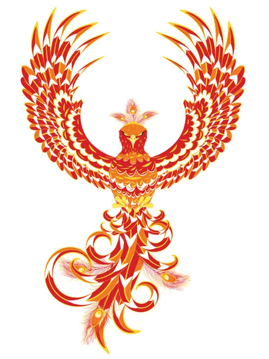 phoenix firebird illustration