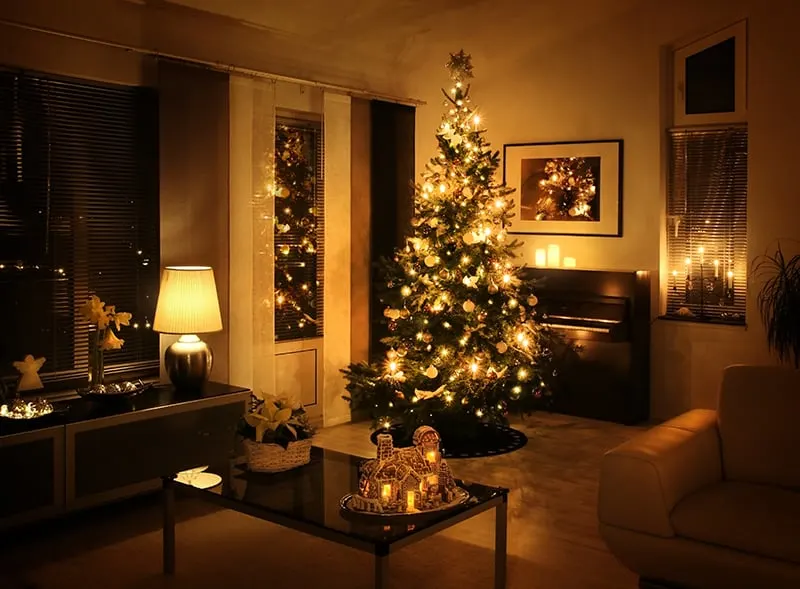Christmas tree in living area.