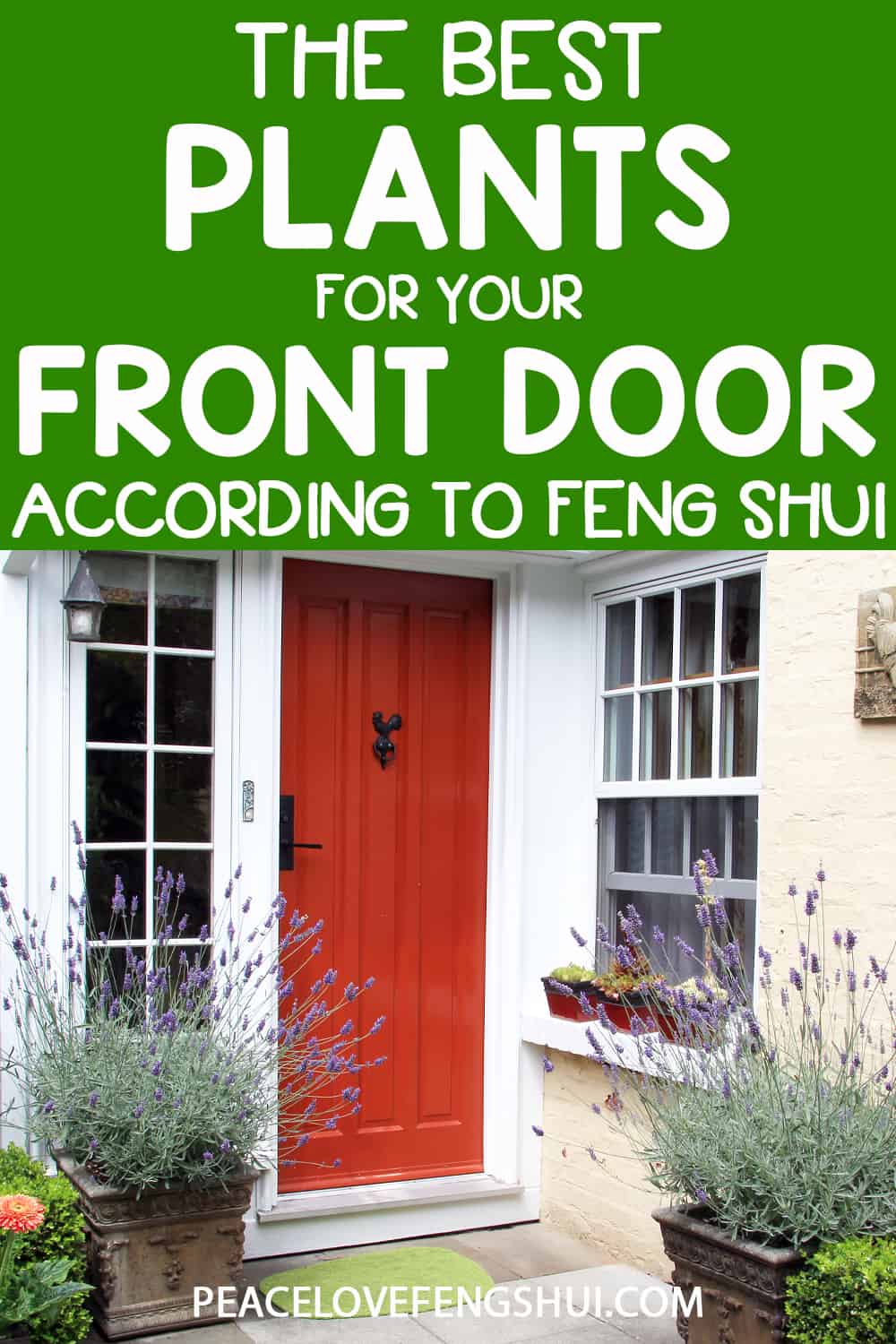 the best plants for your front door according to feng shui