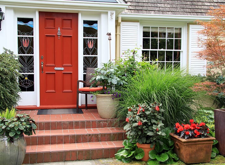 front door surrounded with plants