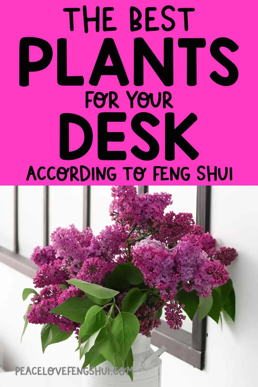 the best plants for your desk according to feng shui