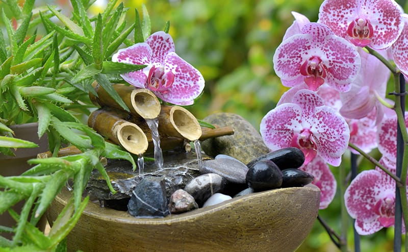 bamboo fountain with rocks and pink orchids