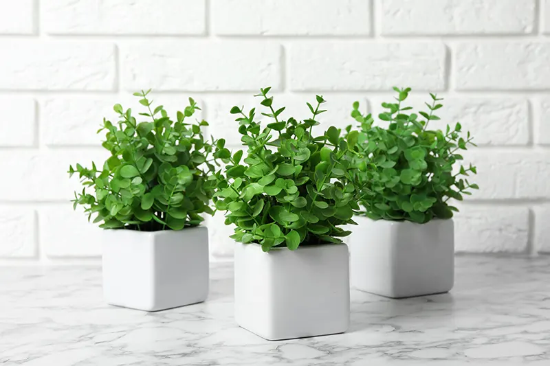 3 artificial plants in small white pots