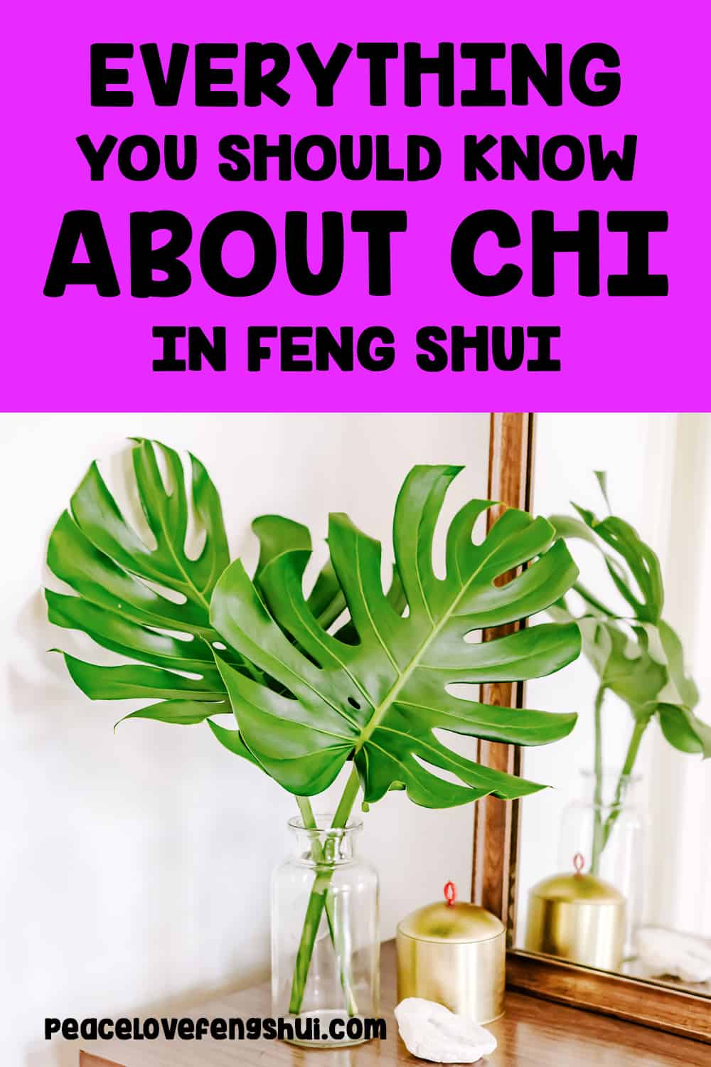 everything you should know about chi in feng shui