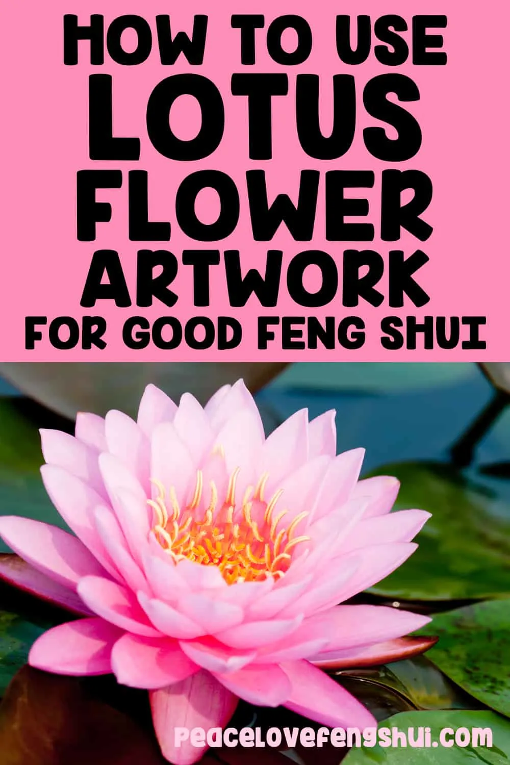 how to use lotus flower artwork for good feng shui