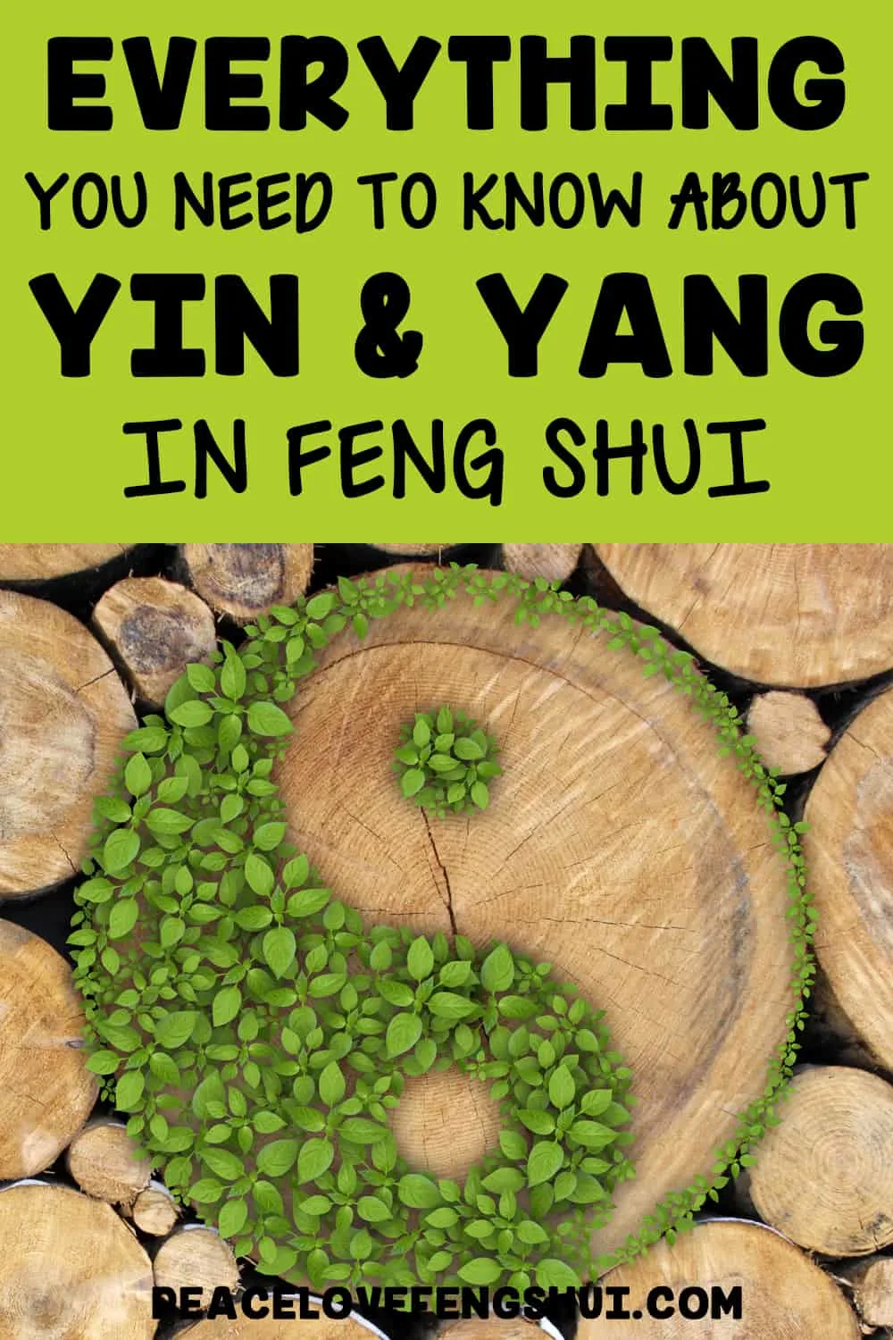 everything you need to know about yin and yang in feng shui