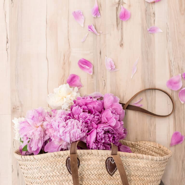 feng shui purse tips