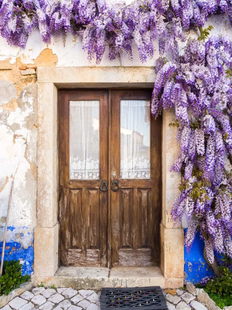front of home with wisteria around the door