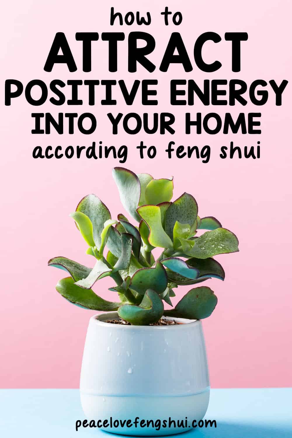 jade plant with text overlay that says: how to attract positive energy into your home according to feng shui