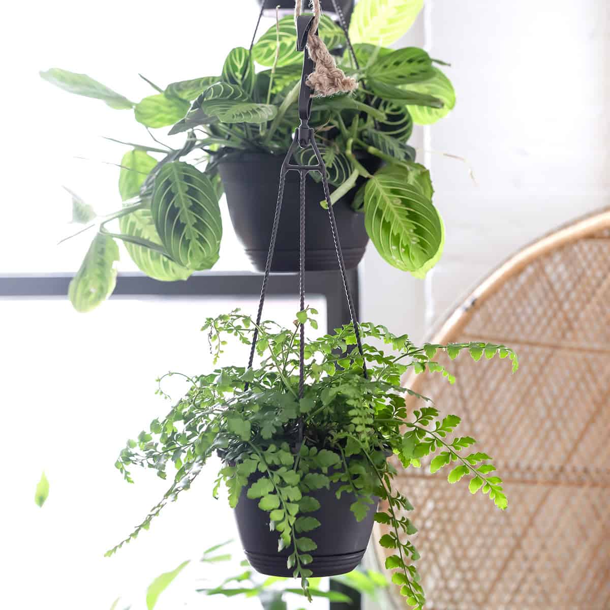 things to get rid of for good feng shui